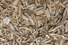 biomass boilers Trevena