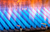 Trevena gas fired boilers